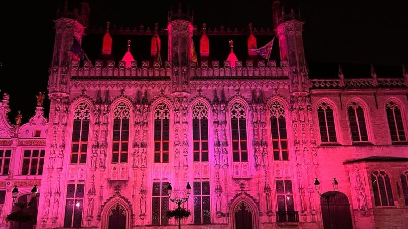 Pink Illumination Brugge